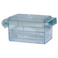 Buy Special Maternity Guppies W/suction Cups - Loropark