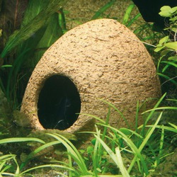 Buy Jbl Cave For Spawning - Loropark