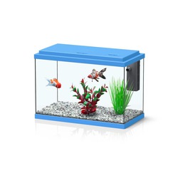 Comprar Kit Funnyfish 35 Azul - Loropark