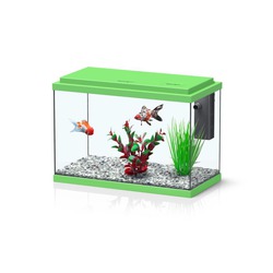 Comprar Funnyfish 35 Kit Verde - Loropark