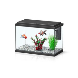 Kit FunnyFish 35 Preto [ Loropark ]