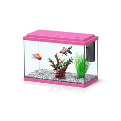 Comprar Funnyfish 35 Kit Rosa - Loropark