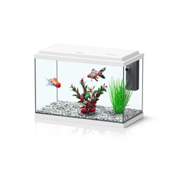 Comprar Funnyfish 35 Blanco Kit - Loropark