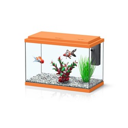 Comprar Kit Funnyfish 35 Laranja - Loropark