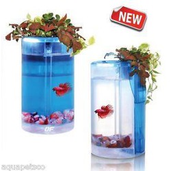 Comprar Aqurio Betta Flora - Loropark