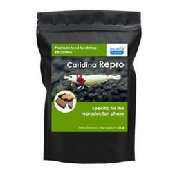 Buy Caridina 25grs Repro Sparos - Loropark