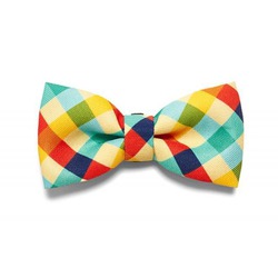 Comprar Zeedog Bowtie-phantom - Loropark