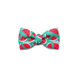 Buy Zeedog Bowtie-lola - Loropark