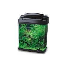 Comprar Aqurio Hailea Nature - Loropark