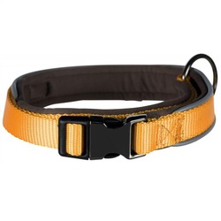 Collar EXPERIENCE 37-50 CM/20 MM Yellow (M-L) [ Loropark ]