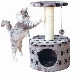 Buy Scratcher Toledo (grey) - Loropark