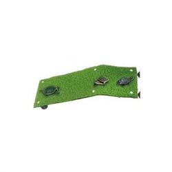 Buy Turtle Ramp 15x7cm - Loropark