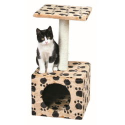 Buy Zamora Scratcher - Loropark